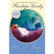 (영문도서)Moon Tiger Paperback, Grove Press, English, 9780802168139