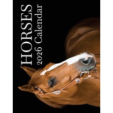 (영문도서)Horses 2026 Calendar Paperback, Baldega Books, English, 9798330229444
