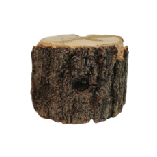 천연 산란목, 1개