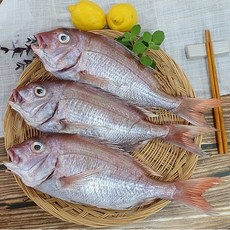 반건조 생선 국산 참돔 1마리 손질 제수용 구이용 찜용, 40cm내외, 1개, 40cm내외