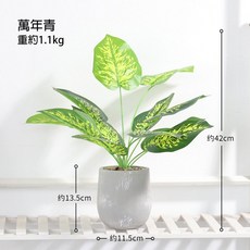 生活大獅 仿真龜背葉盆栽，重約1.1kg，約33cm高, 1個, 萬年青