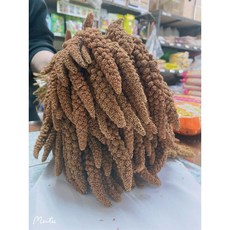 【30年老店 新街鳥園 】紅米穗 50g，天然營養，促進食慾，鳥類健康零食首選