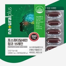[BJMarket] 기억력 인지력캐선 포스파티딜세린 징코브레인 60캡슐 은행잎추출물 뇌영양제, 1개