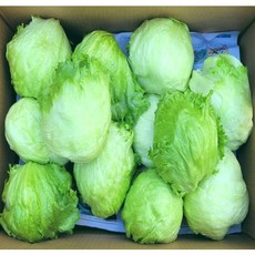 [산지직송] 꿀비마켓 국내산 깐 양상추 3~4kg 식자재, 1개