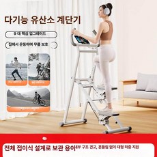 스마트스톤 스텝퍼 가정용헬스기구 천국의계단, 스타리화이트