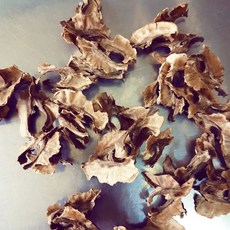 美國核桃梗, 1個, 一兩/37.5g