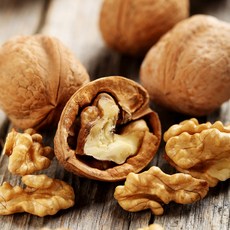 [충북농원] 상촌 호두나무 묘목 - 실생묘, 7. 실생/1년생/H0.3, 1개