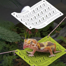 크레스티드게코 침대 사육장꾸미기 파충류 도마뱀 침대 언더베드 거북이쉼터, 소형화이트, 1개
