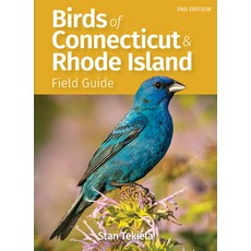 (영문도서) Birds of Connecticut & Rhode Island Field Guide Paperback, Adventure Publications, English, 9781647554057