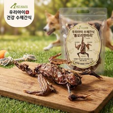 펫루트 강아지 우리아이 수제간식, 1세트, 300g, 대형견