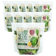 데이밀 자연을담은 샐러드 실속A 100g x 10팩 국내산 야채믹스, 10개, 드레싱없음