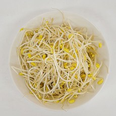 국내산 무농약 친환경 콩나물 대용량, 1박스, 3kg