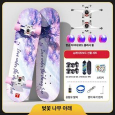 성인용스케이트보드 입문자 4륜 초보 스케이드보드 초급, 1개, 양면 스트리트 라이트 [벚꽃나무 아래]