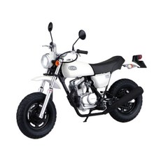 혼다 에이프50 AC16 07년식 프라모델 키즈 모터사이클 취미, 1개