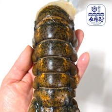 캐나다 랍스터테일 1미/마리당 110~120g