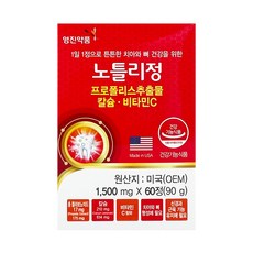 영진약품 노틀리정, 1개, 60정