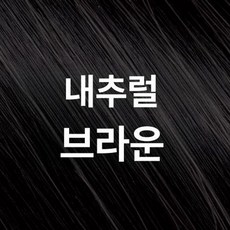 로즈브라운 헤어컬러 트리트먼트 헤어트리트먼트 두피관리 두피보습 헤어에센스 헤어오일 헤어팩, 내추럴 블랙, 1개, 1L