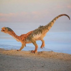 나우케이 공룡화석키트 칠레 사우루스