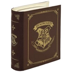 哈利波特 Harry potter 日本限定 書本造型收納包 化妝包 魔法手拿旅行袋 現貨禮物