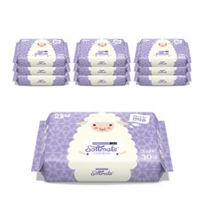순둥이 소프트메이트 건티슈 프리미엄 휴대용 30매 10팩, 60g, 10세트