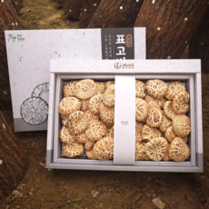 채씨네 표고버섯 선물세트 백화고(특) 500g + 보자기, 1개