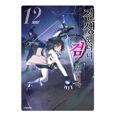 전생했더니 검이었습니다 12(S노벨+), 소미미디어