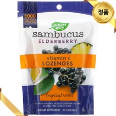 네이처스웨이 비타민C 블랙 엘더베리 삼부커스 사탕 24개 트로피컬맛 아스코르브산, 1개