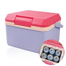 휘양찬란 미니 아이스박스 5리터 소형