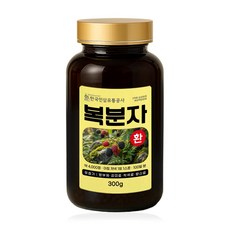 복분자환 (대용량 실속형 약 100일분) 건강환 빠른문의 상품번호 (6135), 1개, 300g
