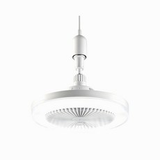 LUMIAIR 二合一智能遙控風扇吸頂燈, 白光, 1個