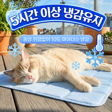 소풍일상 강아지 고양이 오래가는 냉감매트 여름방석 쿨매트 쿨방석, 1개, 스카이블루