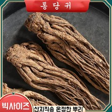그린타운 신선 통 당귀, 3개, 250g