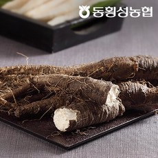 [동횡성농협] 강원도 더덕 800g (생더덕), 1개, 800
