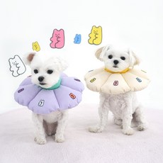 韓國【ParisDog】QQ小熊軟糖伊莉莎白頸圈 (寵物頸圈) - 柔軟舒適，防止舔舐，可愛造型, 紫色,L, 1個