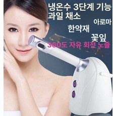 가정용 온열 미스트 스팀기 얼굴 스티머 피부관리 보습기, 데스크탑 온냉 스탠드 없음 상업용 구매 금지, 기본 모델명/품번