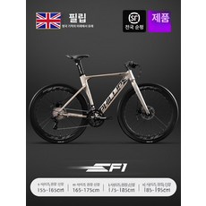 프라운 투어링자전거 입문용 Gravel 장거리 로드 트랙 그래블 성인, 기타, S, 글레이즈드골드 곡선형 27단 분리형