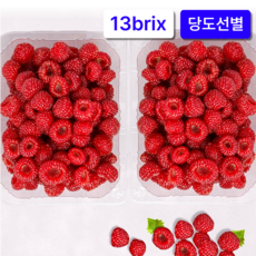 당도선별 제철과일 산딸기 생과, 1개, 250g