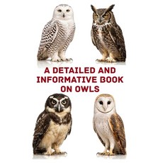 (영문도서)A Detailed and Informative Book on Owls Paperback, Independently Published, English, 9798184268552