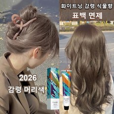 헤이즐넛 그레이브라운 염색약 염색 쉬움 식물 추출 건강 염색 탈색 필요 없고 하얘 보임1+1, 염색약/과산화우유/공구, 1개, 염색약/과산화우유/공구 * 헤이즐넛 그레이브라운 * 1