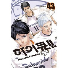 [대원씨아이] 하이큐!! 43권, 단품