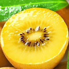 고당도선별 국내산 골드키위 초특가 한정판매, 1박스, 1kg