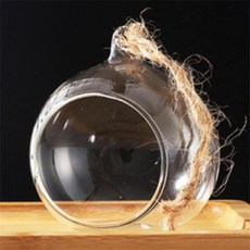 플로렌 테라리움 5쌍 감성인테리어소품, 10cm