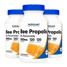 뉴트리코스트 비 프로폴리스 5% 플라보노이드 500mg 120캡슐, 120정, 3개