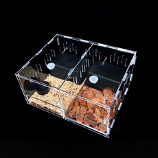 HK.sell 스몰스터 도마뱀 사육장 절지동물 하우스 사육 케이지 2칸형 (온습도계포함), 1개, 투명