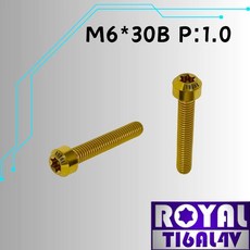 ROYAL M6*30B P:1.0 鈦合金錐形螺絲, 1個