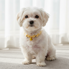 하니펫 반려동물 예쁜 스파이럴 방울 목걸이, 1개, 노랑