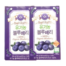 홀베리 통째로 갈아만든 유기농 블루베리 스틱포, 280g, 2박스