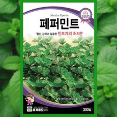 페퍼민트 씨앗 300립 허브 종자 텃밭 박하 꽃씨
