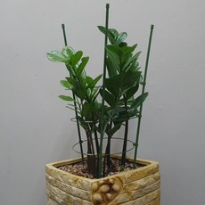 원형 화분 식물지지대 60cm, 1개