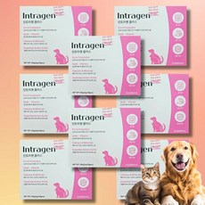 인트라젠유산균 인트라젠 강아지종합영양제, 장건강/유산균, 8개